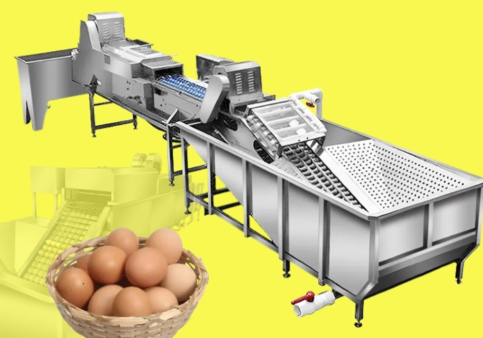 เครื่องล้างไข่อัตโนมัติ รุ่นใหม่ พร้อมระบบอบแห้งและฆ่าเชื้อ เหมาะสำหรับไข่เป็ดและไข่สัตว์ปีก