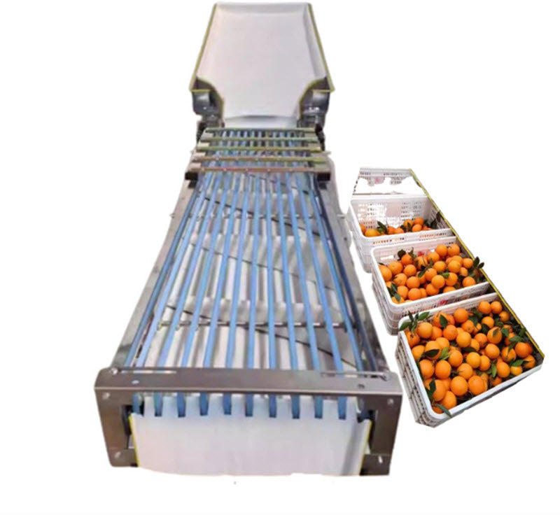 เครื่องคัดแยกผลไม้รุ่นใหม่สำหรับส้ม มะเขือเทศเชอร์รี่ จูจูบ ส้มควอท หมากพลู เสาวรส ลูกพลับ พลัม และเบย์เบอร์รี่ เครื่องแยกน้ำตาลแบบแรงเหวี่ยงหนีศูนย์กลางสำหรับโรงงานน้ำตาล