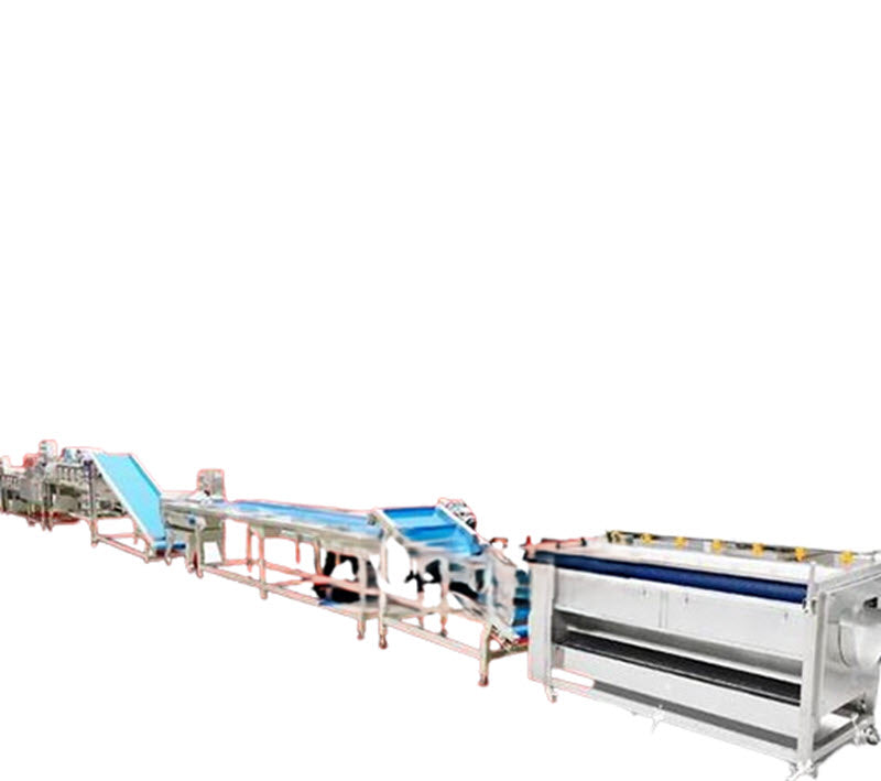 เครื่องล้างปลาแบบฟองอากาศอัตโนมัติ รุ่นมัลติฟังก์ชัน ขนาดกะทัดรัด ใช้งานง่าย