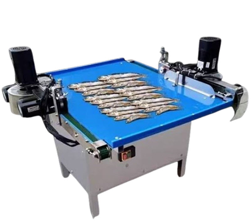 เครื่องฆ่าปลาอัตโนมัติ ขนาดเล็ก สำหรับธุรกิจใหม่ ทำความสะอาดปลาได้รวดเร็ว ใช้งานง่าย