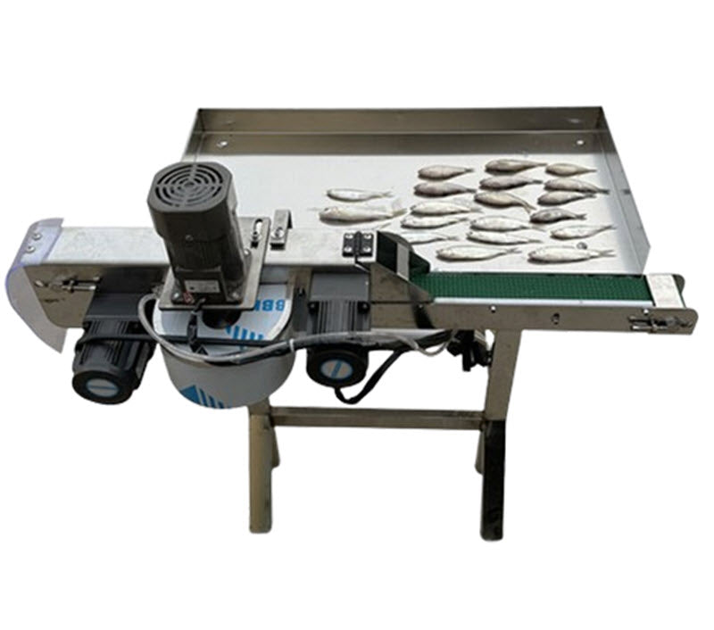 เครื่องฆ่าปลาอัตโนมัติ ขนาดเล็ก รุ่นเปิดท้องปลา ล้างปลาแบบไม่มีเลือด ปลาไซส์เล็ก