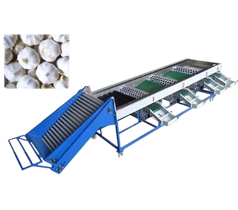 เครื่องคัดแยกกระเทียมและผลไม้ รุ่นลูกกลิ้ง ขนาดกะทัดรัด ใช้งานง่าย