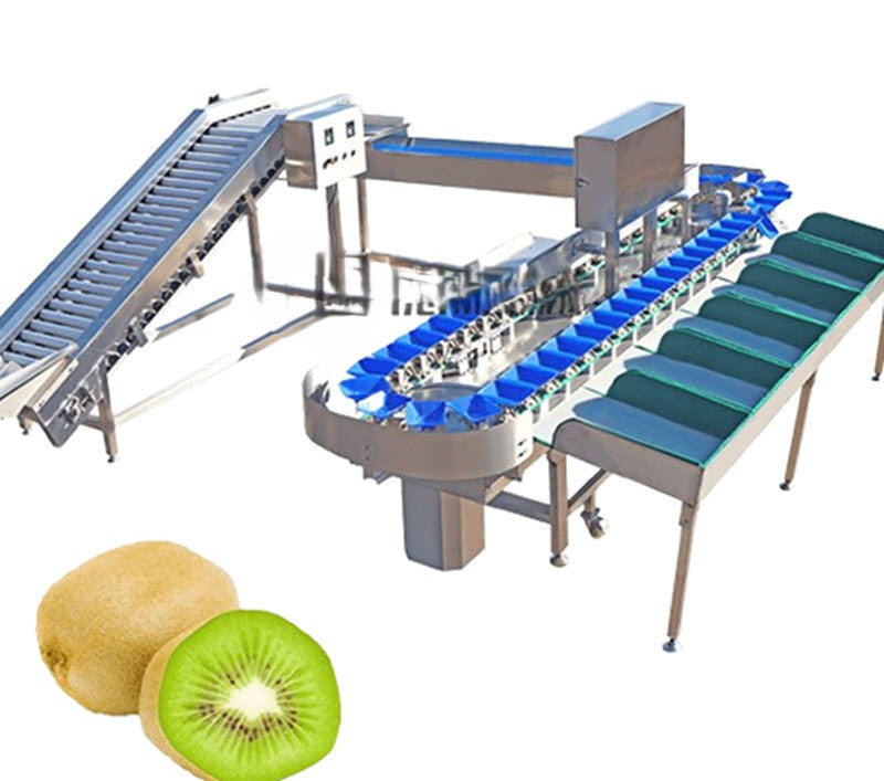 เครื่องคัดแยกกีวีอัตโนมัติ รุ่นความแม่นยำสูง ขนาดพกพา ทนทาน ใช้งานง่าย