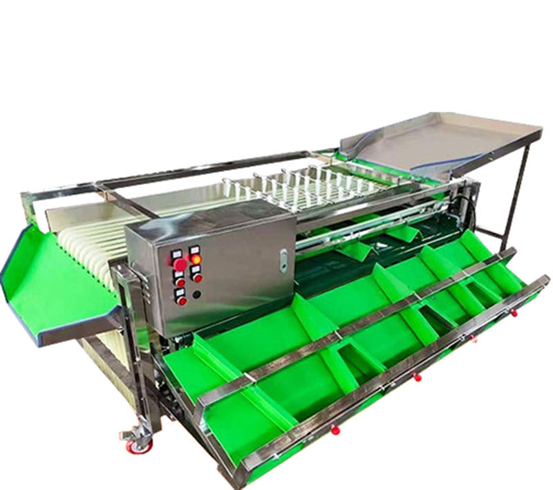 เครื่องคัดแยกผลไม้สแตนเลส รุ่นใหม่ สำหรับมะเขือเทศ, เสาวรส, พลัม และวอลนัท