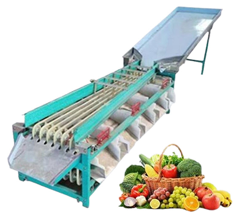 เครื่องคัดแยกผลไม้หลายฟังก์ชัน รุ่นใหญ่ สำหรับทับทิม, พลัม, เสาวรส, ส้ม, และฮอว์ธอร์น