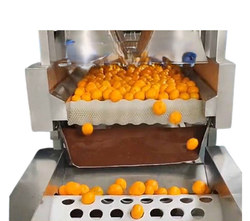 เครื่องล้างส้มและส้มโอ รุ่นใหม่ พร้อมระบบฉีดน้ำ แปรงขัดทำความสะอาด ประสิทธิภาพสูง