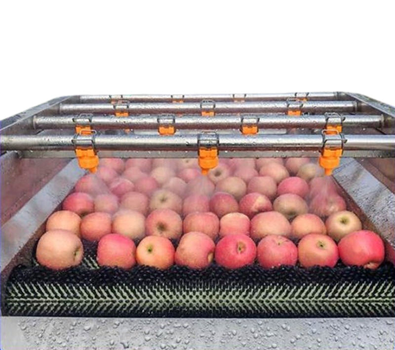 เครื่องล้างผลไม้ บ๊วย ส้ม ส้มโอ รุ่นมืออาชีพ สำหรับแปรรูปและทำแห้ง ขายส่งราคาโรงงาน