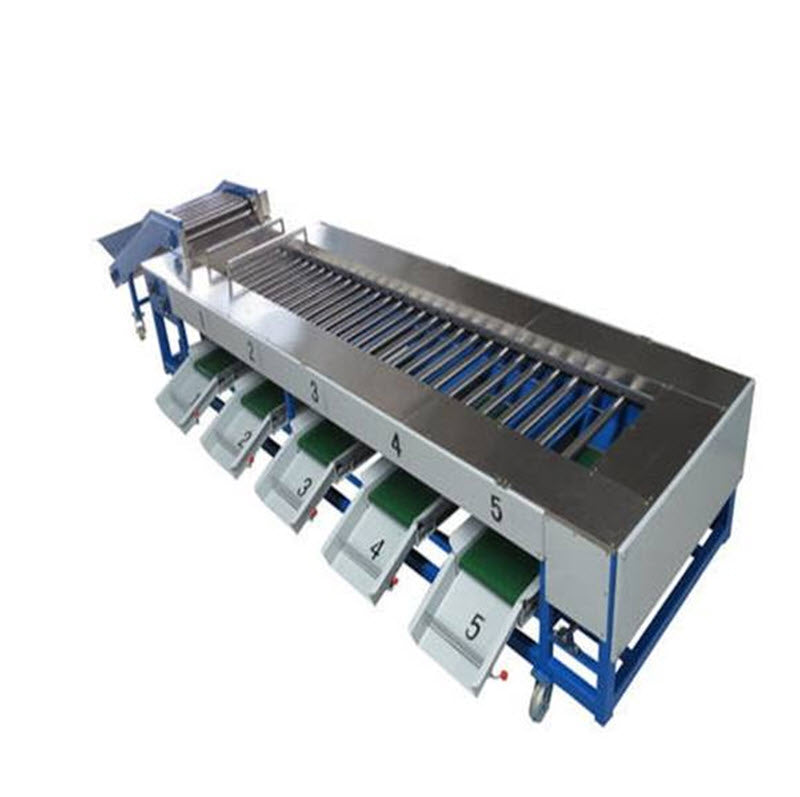 เครื่องล้างผลไม้ระบบอัตโนมัติ รุ่นแยกขนาด 10-20กก. สำหรับล้างและคัดแยกผลไม้