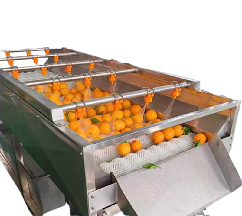 เครื่องล้างผลไม้ - เครื่องทำแห้งส้ม, ส้มโอ, มันฝรั่ง - ราคาส่ง