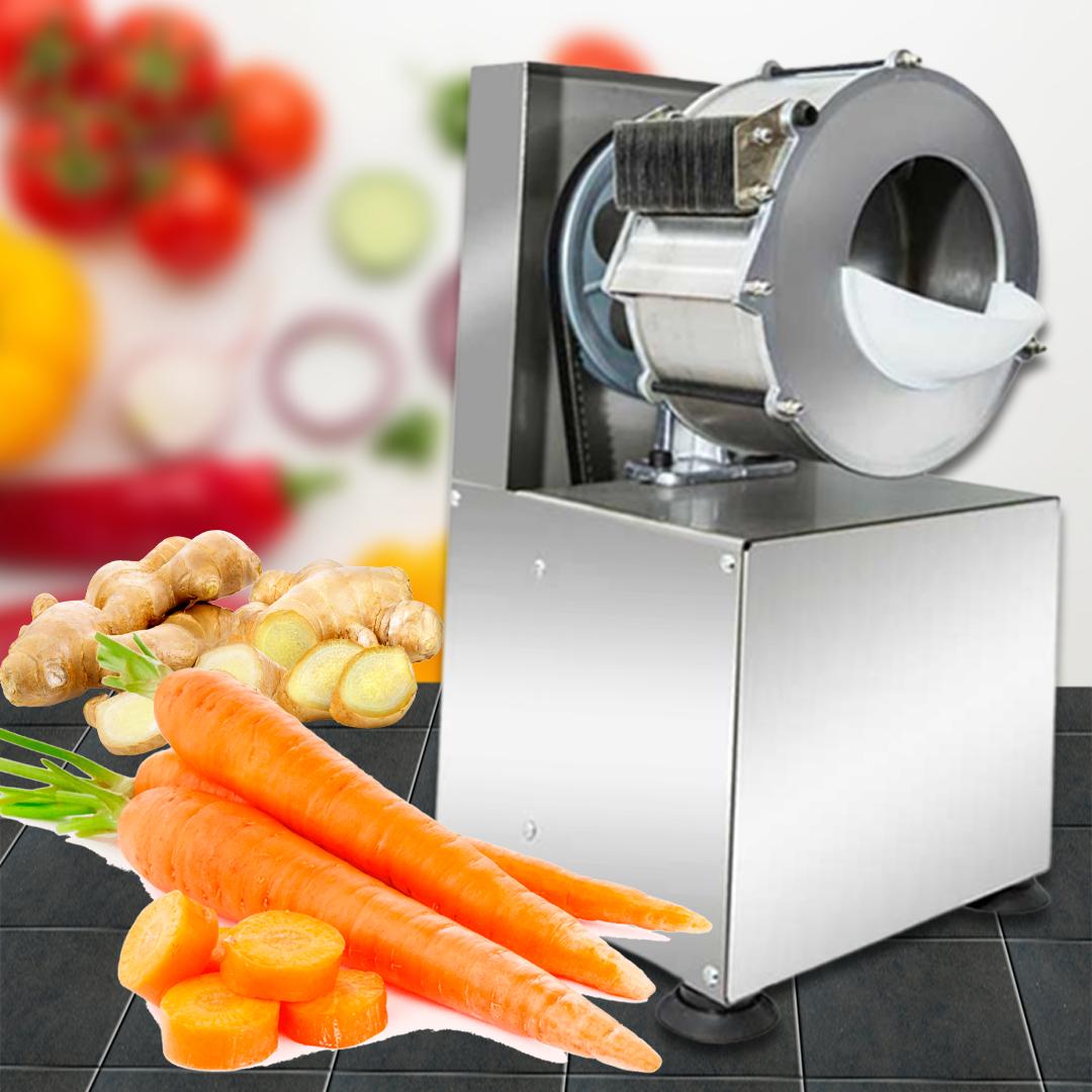เครื่องซอยขิง แครอท หัวไชเท้า Electric Vegetable Shreder and Slicer รุ่น 10 แตงกวา หั่นมันฝรั่ง