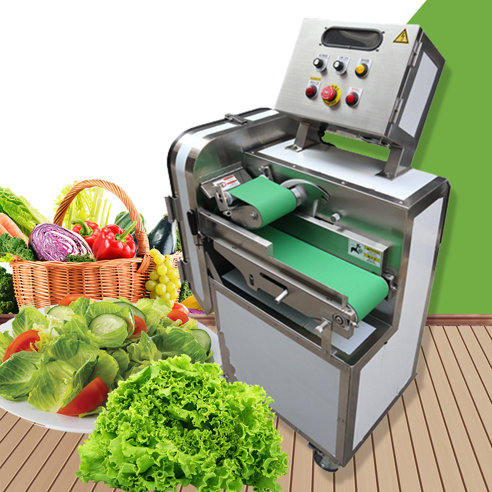 เครื่องหั่นสไลด์ผัก ผลไม้กำลังสูง แบบสายพาน Electric Vegetable Slicing and Cutting Machine รุ่น LV-609L
