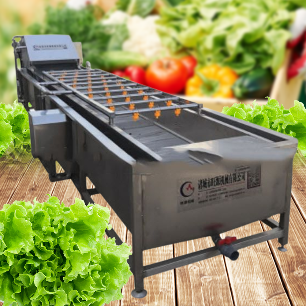เครื่องล้างผักสายพาน commercial automatic bubble washing machine vegetable