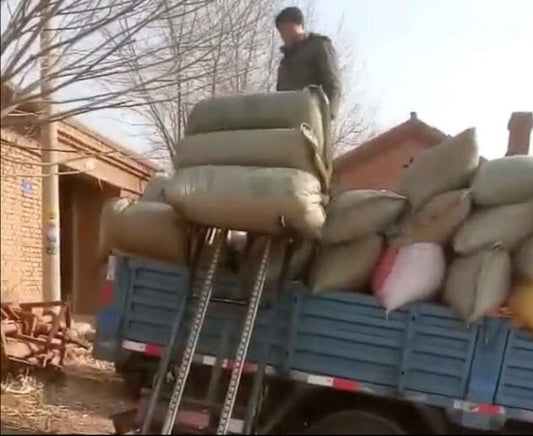 เครื่องยกกระสอบไฟฟ้า Semi-Auto Loading Lifting ขนาด 2.5 เมตร ขึ้น-ลง เครื่องยกกระสอบ ยกถุง