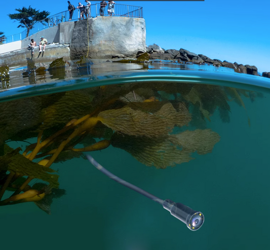 กล้องเอ็นโดรสโคปหน้าจอ กล้องงู HD 5 inch screen ตรวจสอบท่อ บ่อ ADJ-863 Pipeline endoscope HD camera