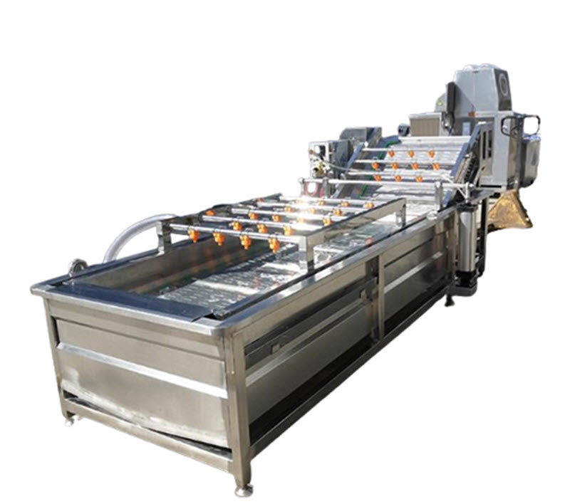 เครื่องล้างผักผลไม้เชิงพาณิชย์ รุ่น Mango ขนาดใหญ่ ระบบล้างฟองสบู่ สำหรับสมุนไพรและผักสด