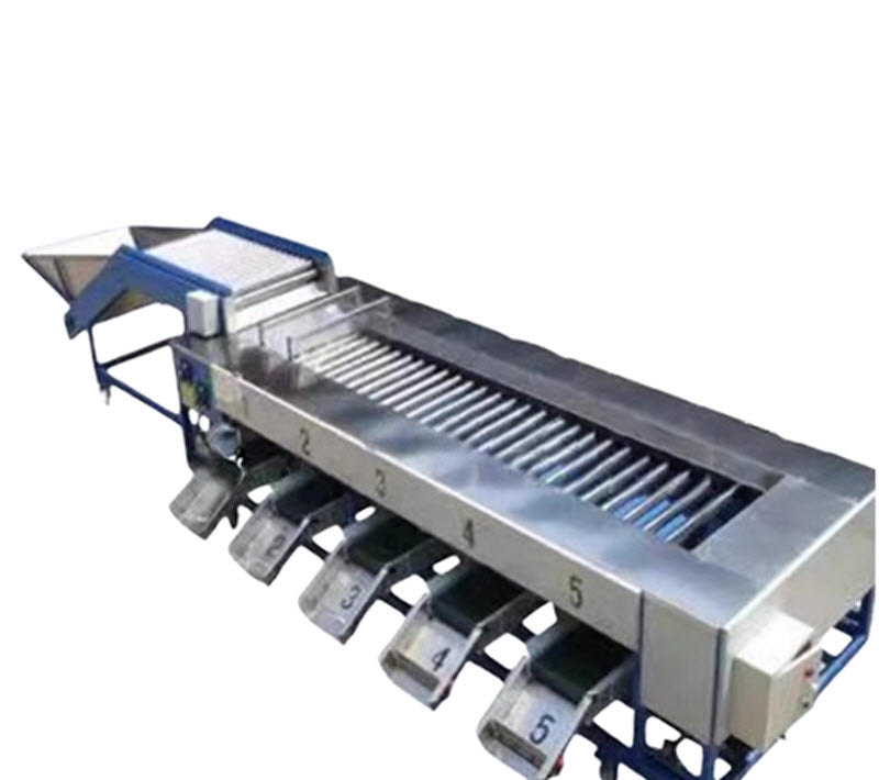 เครื่องคัดแยกมะเขือเทศเชอร์รี่ รุ่นใหม่ เหมาะสำหรับการทำผลไม้และผัก ขนาดกระทัดรัด ใช้งานง่าย