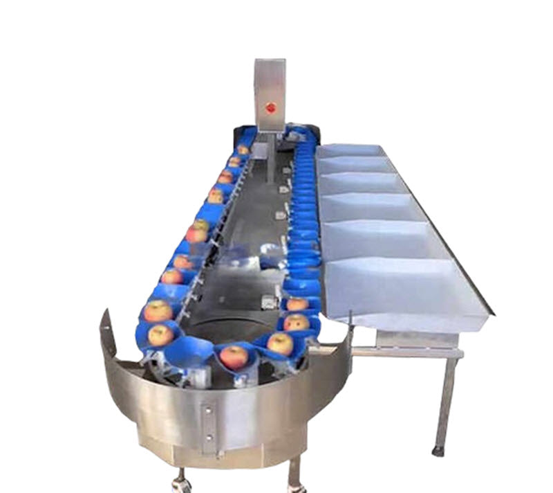 เครื่องคัดแยกน้ำหนักผลไม้ รุ่นใหม่ น้ำหนักแม่นยำ เหมาะสำหรับผลไม้ทุกชนิด เช่น ส้ม, แอปเปิล, แตงโม