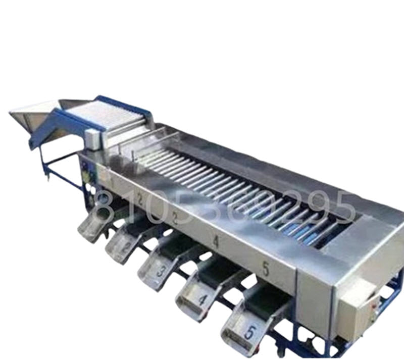 เครื่องคัดแยกมะเขือเทศเชอร์รี่ รุ่นใหม่ ขนาดกะทัดรัด สำหรับคัดเกรดผลไม้และผัก