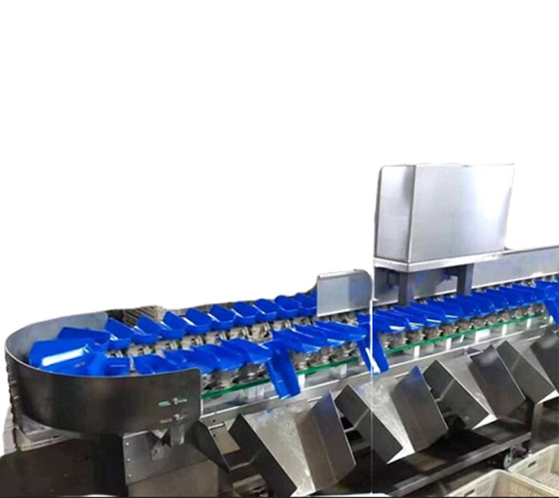 เครื่องคัดแยกไข่แดง, ขนาดใหญ่, สำหรับกุ้งมังกร, ขาไก่, หัวหมู, ข้าวโพด, มันเทศ, ฟักทอง