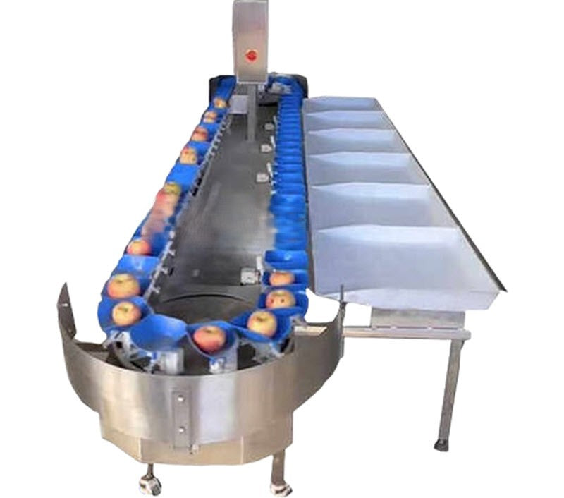 เครื่องคัดแยกผลไม้และชั่งน้ำหนัก รุ่นใหม่ เหมาะสำหรับผลไม้ทุกชนิด เช่น มะม่วง ส้ม แอปเปิล