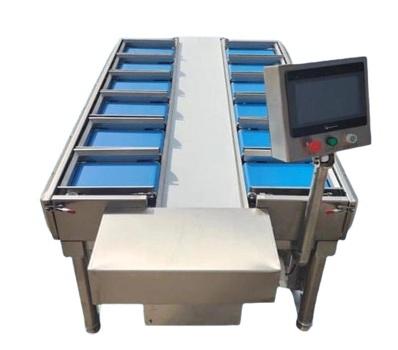 เครื่องชั่งอัตโนมัติ รุ่นหลายตำแหน่ง สำหรับชั่งน้ำหนักอาหารแห้ง เช่น มันหวาน ไส้กรอก หน่อไม้ และปลาหมึก