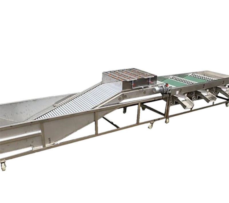 เครื่องคัดเกรดมันฝรั่งและล้างผลไม้สับปะรด รุ่นใหม่ ระบบสายการผลิตขนาดใหญ่