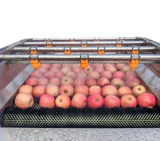 เครื่องล้างผลไม้ บ๊วย ส้ม ส้มโอ รุ่นมืออาชีพ สำหรับแปรรูปและทำแห้ง ขายส่งราคาโรงงาน