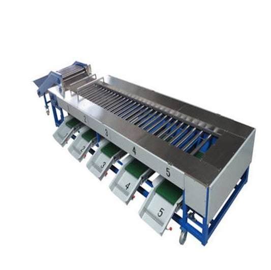 เครื่องล้างผลไม้ระบบอัตโนมัติ รุ่นแยกขนาด 10-20กก. สำหรับล้างและคัดแยกผลไม้