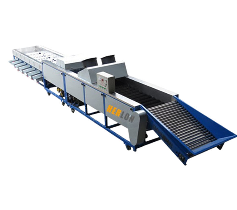 เครื่องล้างผลไม้ส้ม เครื่องคัดแยกเกาลัด เครื่องเลือกผลลูกยอ ขนาดกะทัดรัด ใช้งานง่าย