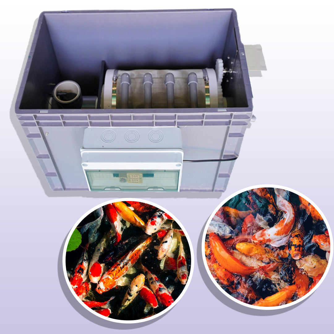 เครื่องกรองบ่อปลา ล้างอัตโนมัติ ไมโครฟิวเตอร์ ขนาดบ่อ 3 – 25 ตัน Fish pond drum filter koi pond ดรัมฟิลเตอร์