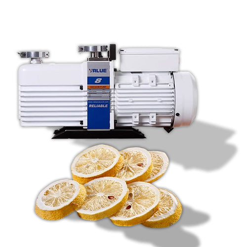 มอเตอร์ฟรีสดราย Vacuum Pump Industrial 0.5HP, Heavy Duty, Oil-Free, Efficient for Industrial Applications, Low Noise Operation