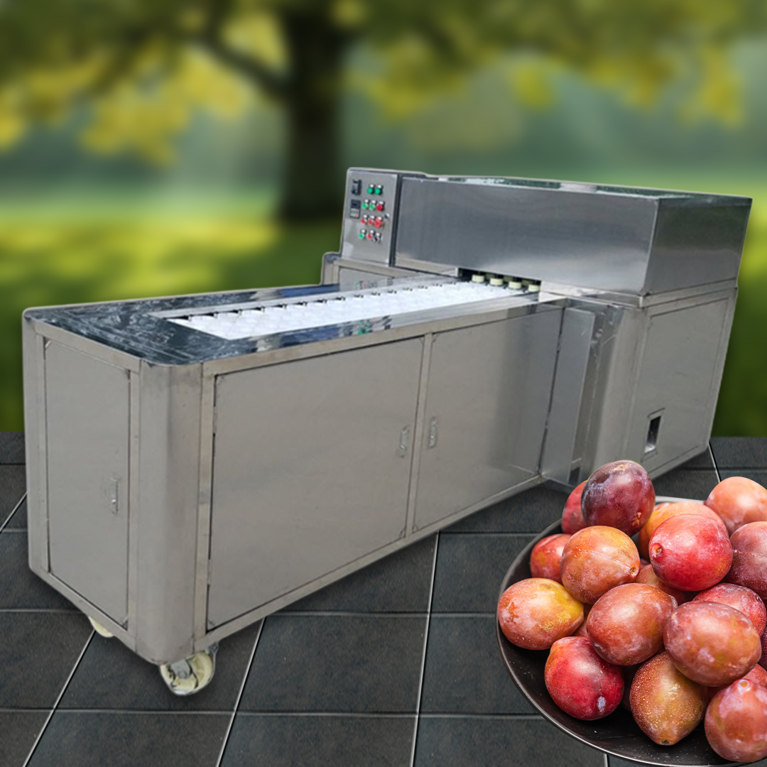 เครื่องคว้านเม็ด แบ่งครื่ง พุทรา ลูกปาล์ม ลูกพรุน Prune pitting and halving machine 380V wq-xm208 2.2kw