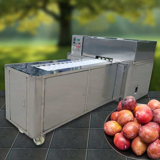 เครื่องคว้านเม็ด แบ่งครื่ง พุทรา ลูกปาล์ม ลูกพรุน Prune pitting and halving machine 380V wq-xm208 2.2kw